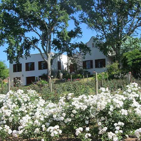 Aan-Den-Weg Villa Stellenbosch Exterior foto