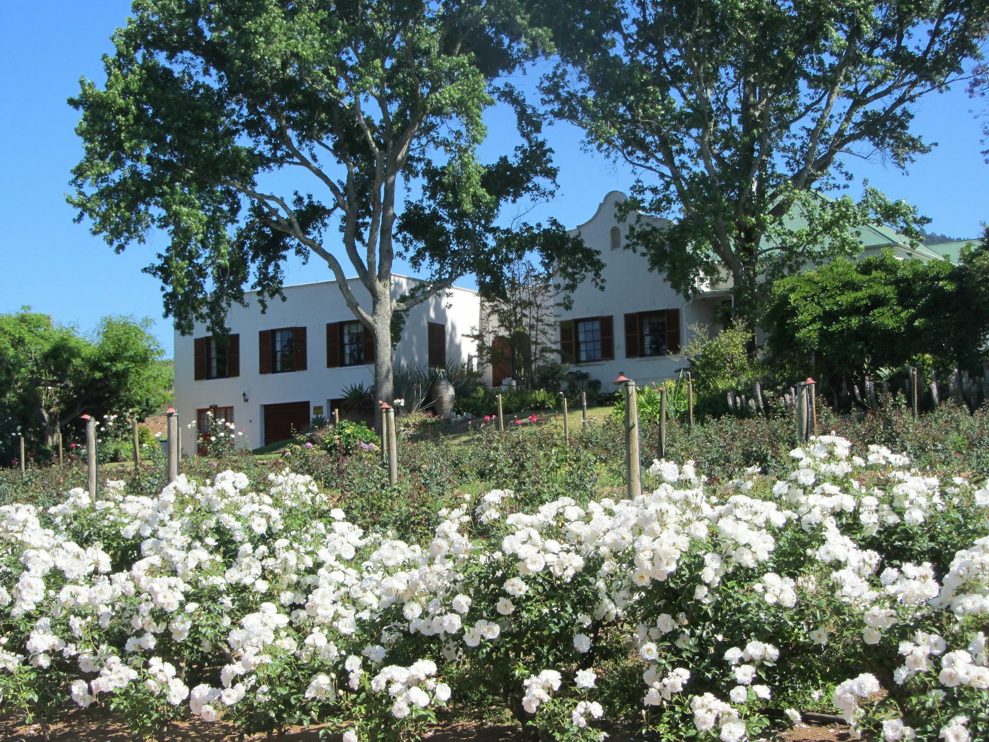 Aan-Den-Weg Villa Stellenbosch Exterior foto